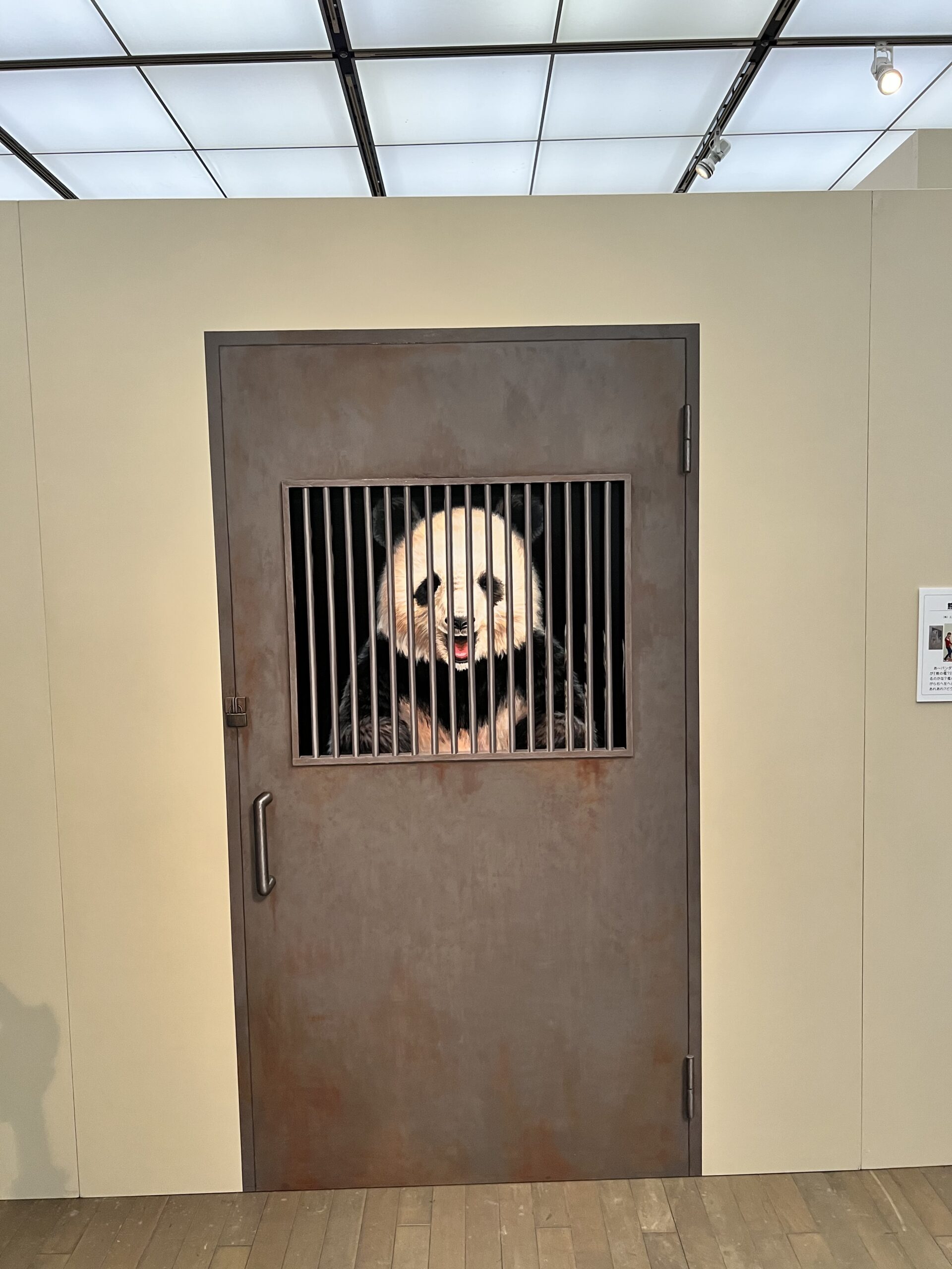 トリックアート展2021in金山 累計来場者数1万人突破